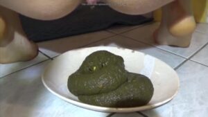 Free Scat Porn