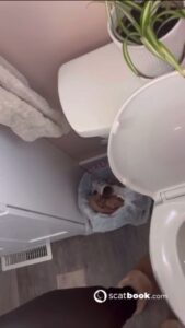 Free Scat Porn