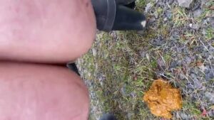 Free Scat Porn