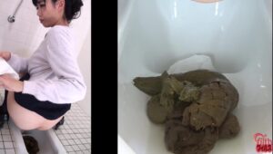 Free Scat Porn