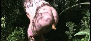 Free Scat Porn