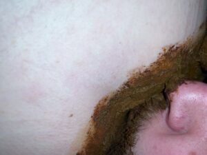 Free Scat Porn