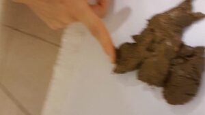 Free Scat Porn