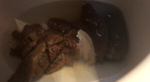 Free Scat Porn