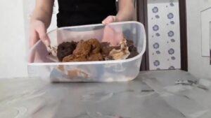 Free Scat Porn