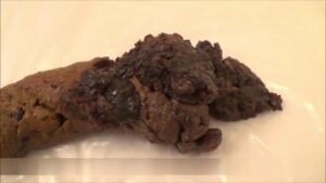 Free Scat Porn