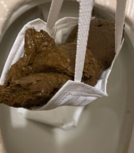 Free Scat Porn