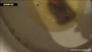 Free Scat Porn