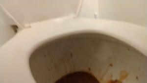 Free Scat Porn