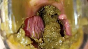 Free Scat Porn