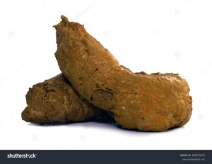 Free Scat Porn