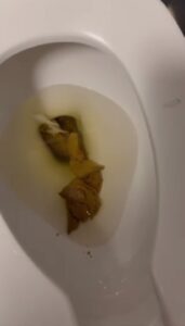 Free Scat Porn