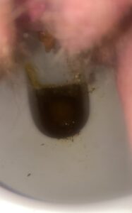 Free Scat Porn