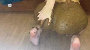 Free Scat Porn