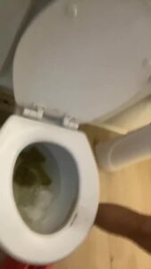 Free Scat Porn