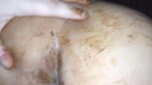Free Scat Porn