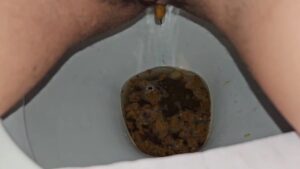 Free Scat Porn