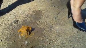 Free Scat Porn