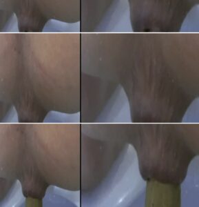 Free Scat Porn