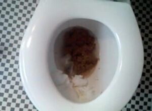 Free Scat Porn