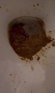 Free Scat Porn