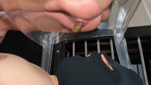 Free Scat Porn