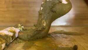 Free Scat Porn
