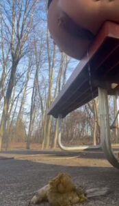 Free Scat Porn