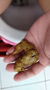 Free Scat Porn