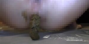 Free Scat Porn