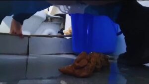 Free Scat Porn
