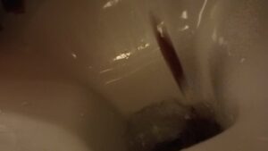 Free Scat Porn