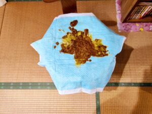 Free Scat Porn
