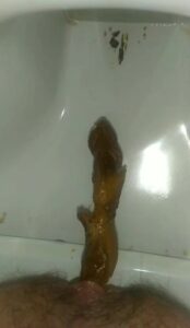 Free Scat Porn
