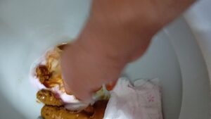 Free Scat Porn