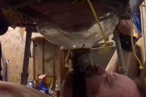 Free Scat Porn