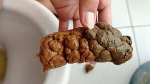 Free Scat Porn