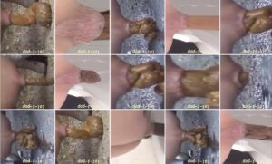 Free Scat Porn