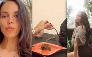 Free Scat Porn
