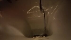 Free Scat Porn