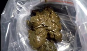 Free Scat Porn