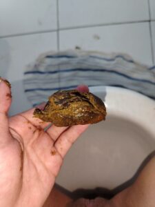 Free Scat Porn