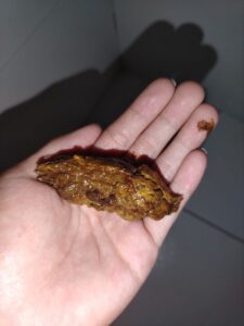 Free Scat Porn