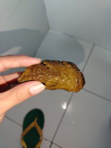 Free Scat Porn