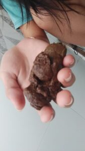 Free Scat Porn