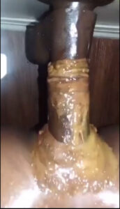 Free Scat Porn