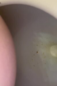 Free Scat Porn