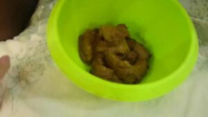 Free Scat Porn
