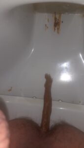 Free Scat Porn