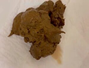 Free Scat Porn